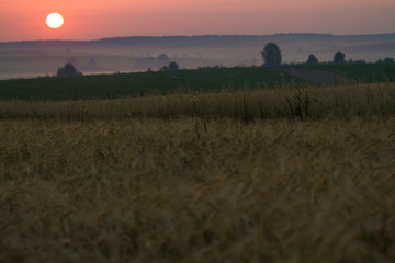 Beautiful sunrise in the field