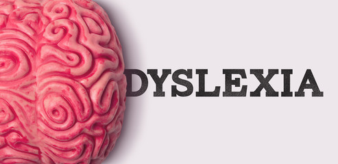 Wall Mural - dyslexia word next to a human brain model