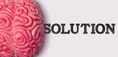 Wall Mural - Solution word next to a human brain model