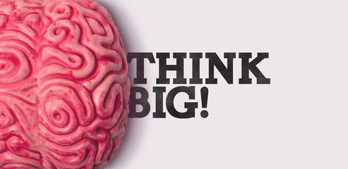 Wall Mural - Think big word next to a human brain model