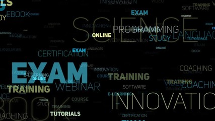 Wall Mural - e-learning online education video concept.