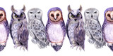 Fototapeta Zwierzęta - Watercolor seamless border with different types of owls