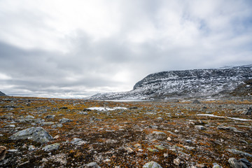 Wall Mural - Icy and snowy mountains in an alpine area high in the fjords of Aurland in southern Norway during autumn with orange moss on the ground.