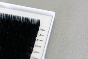 Wall Mural - A tray of individual lash extensions used in the beauty treatment; eyelash extensions or Russian volume lashes.  The white tray sits on a light grey background with space for text or copy to the right