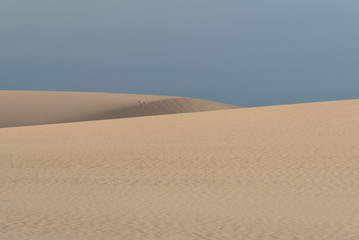 dunes in the Sand desert at sunset