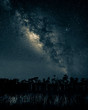 Starry Night Sky, Milky Way, Split Tone, Big Cyprus, South Florida
