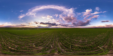 Wall Mural - full seamless spherical hdri panorama 360 degrees angle view on among fields in spring evening before sunset with awesome clouds in equirectangular projection, ready for VR AR virtual reality content