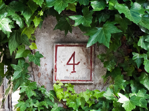 Fotomural Close-up Of Number 4 On Wall Amidst Ivies