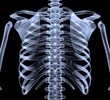 anatomy, human, roentgen, skeletal, anatomical, bone, image, medical, medicine, skeleton, spine, person, chest, hospital, ray, science, disease, film, joint, patient, radiology, scan, biology, diagnos