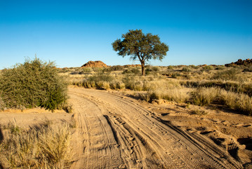 road in the field