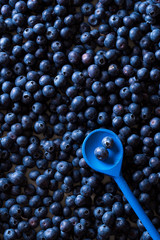 Two blueberry fruits in a spoon over blueberries pile