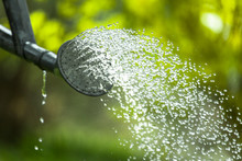 Spring Summer Garden Watering. Water Saving Ecology Gardening Background