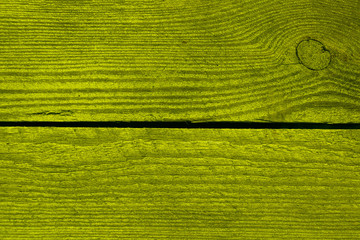 Bright green wood texture. Two bars of a tree in green.