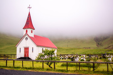 iceland nature landscape flowers birds animals waterfall tourism tourist geyser natural wonders chur