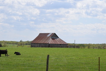 Poster - Old Barn in a Farm Field