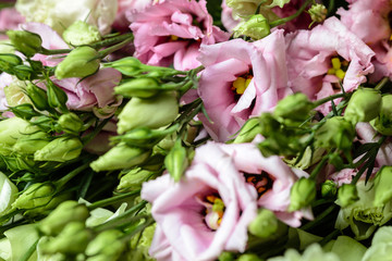 bouquet of pink roses