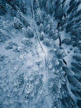 High Angle View Of Snow Covered Forest