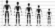 Canon y proporciones en centímetros del cuerpo humano según estatura, a escala.