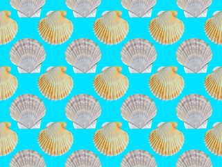 Poster - Shells of scallop, seamless pattern.