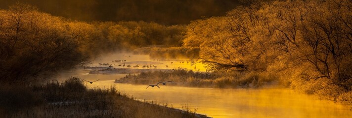 Poster - Beautiful panoramic shot of a river surrounded with trees and flying cranes in Kushiro, Hokkaido