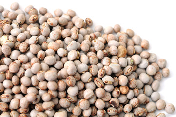 Poster - pigeon pea