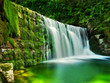 Beautiful waterfall in green nature