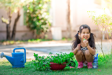 Close-up background view of a cute girl who is watering plants or growing vegetables for health, a crop cultivation program and business expansion.