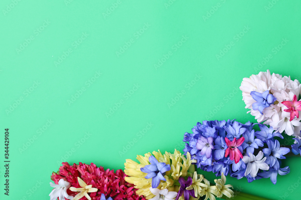 Beautiful hyacinth flowers on color background