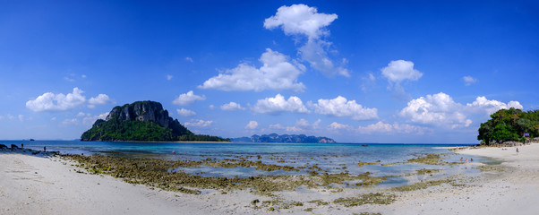 Wall Mural - panorama of the river