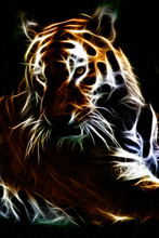 Abstract Illustration Of A Tigers Face Illustrated In Light On A Black Background.