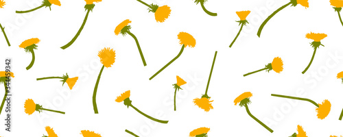 Cuadros en Lienzo Yellow dandelions flowers, seamless pattern. Vector illustration.