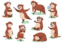 Marmot Or Beaver Wild Animal Rest On Nature Vector Illustration. Funny Character On Meadow In Various Poses Excited About Life Cartoon Design. Groundhog Day Concept. Isolated On White Background