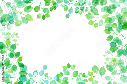 見上げた新緑 太陽光に透過し輝く枝葉の水彩イラスト フレーム背景 Stock Illustration Adobe Stock