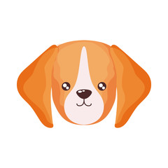 Wall Mural - head of cute dog on white background