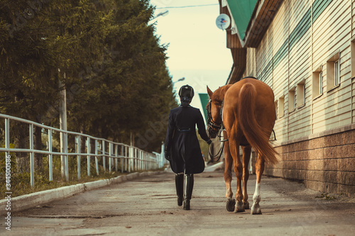 Fotomural Rider woman with the horse are walking in a stable outdoors for dressage trainin