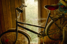 Old Forgotten Bicycle Covered In Cobwebs In The Background Of A Shed Window