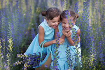 two little girls laughing in a field with blue flowers