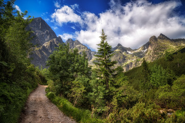 Fototapeta szlak prowadzący zieloną doliną kieżmarską w tatrach słowackich