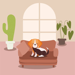 Wall Mural - adorable dog in living room