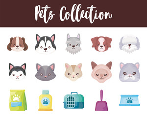 Canvas Print - set of icons with domestic animals and accessories