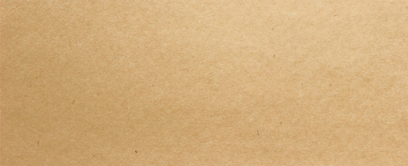 Wall Mural - brown paper craft canvas long background