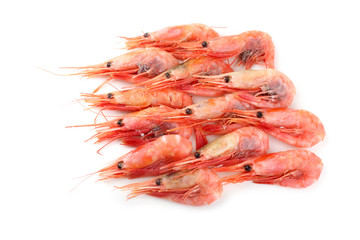 Canvas Print - Shrimps