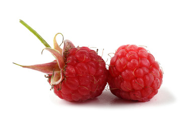 Poster - Raspberries