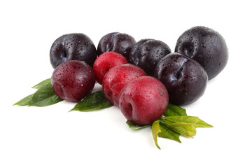 Wall Mural - Plums and leaves