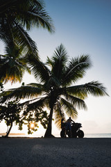 Atardecer entre palmeras y deportes