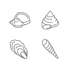 Wall Mural - Different seashells pixel perfect linear icons set. Customizable thin line contour symbols. Triton trumpet, oyster, auger and top snail shells isolated vector outline illustrations. Editable stroke