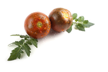 Canvas Print - Dark tomatoes