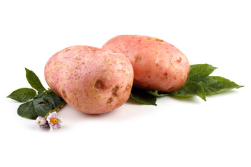 Sticker - Pink potatoes and leaves