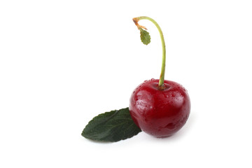 Wall Mural - Cherry