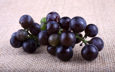 Wall Mural - Black wine grape on bagging